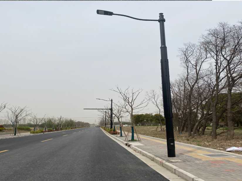 郎溪县上海综合杆 太阳能路灯工程